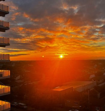 271d28a7-5205-43a3-a862-e3aff9e78161