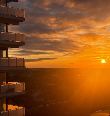 6e5da383-cf1b-492c-90a8-93f67c30bf52